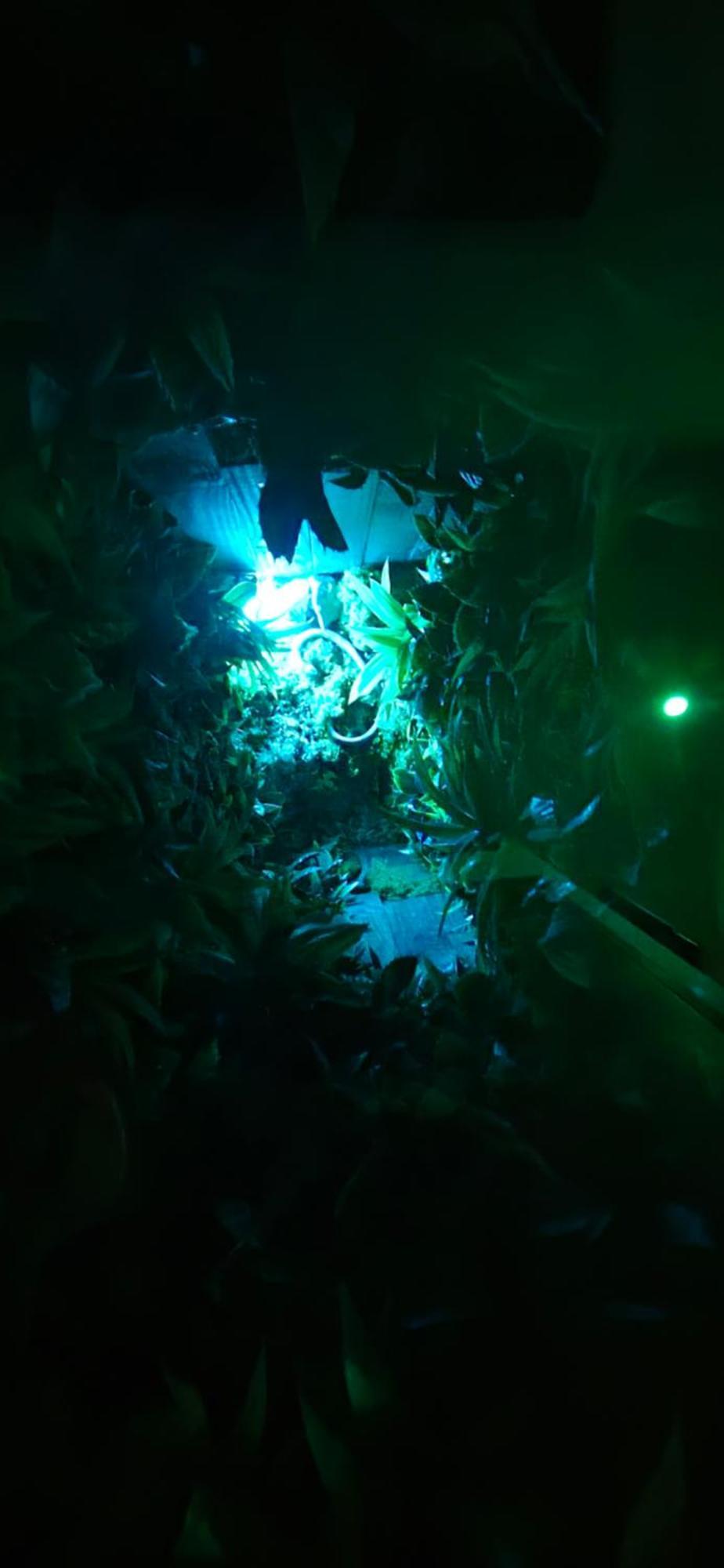 La Jungle Room Rognac Exterior photo